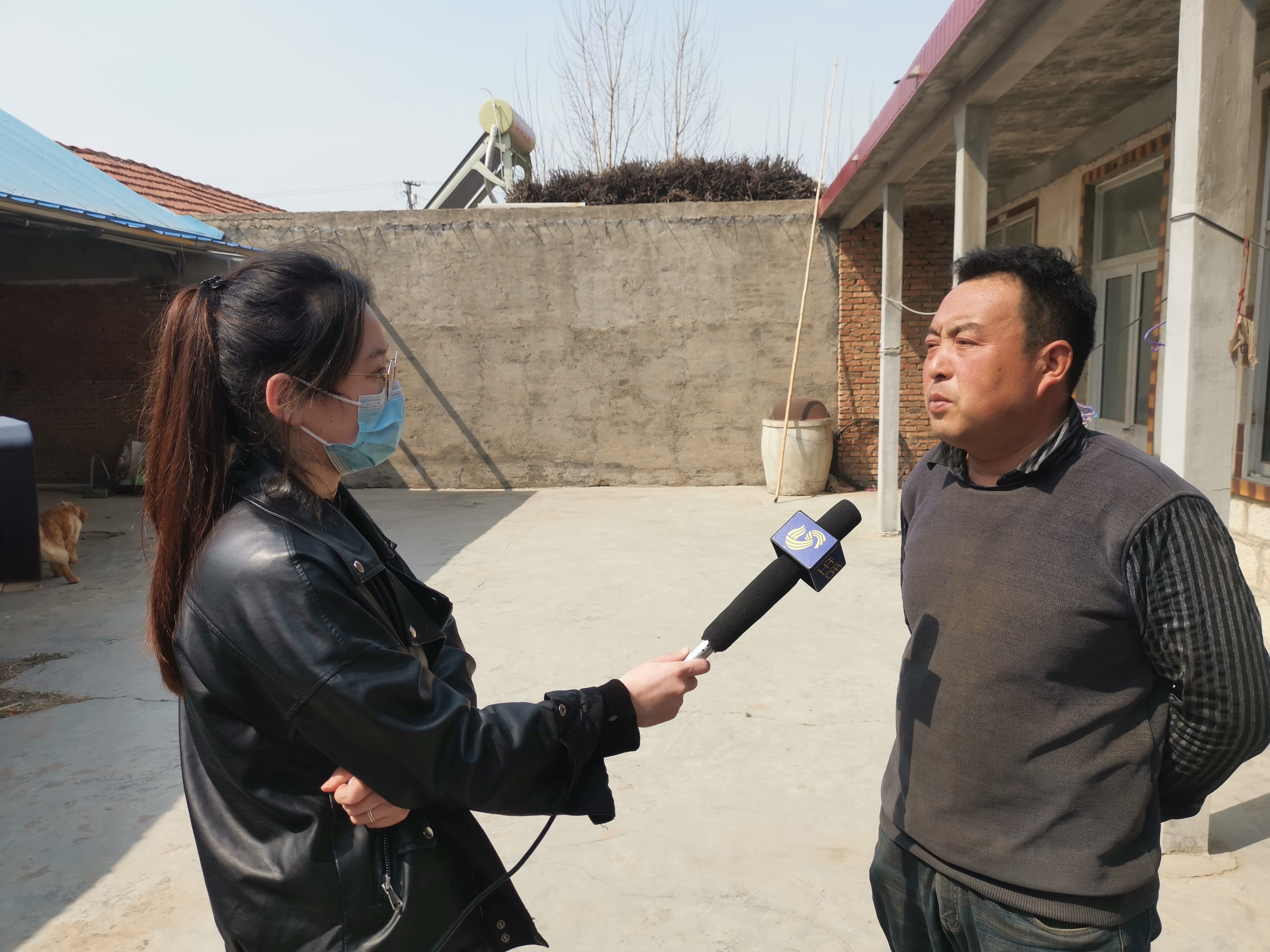 第209所 平度市崔家集镇状元府开云线上登录刘丽新小学