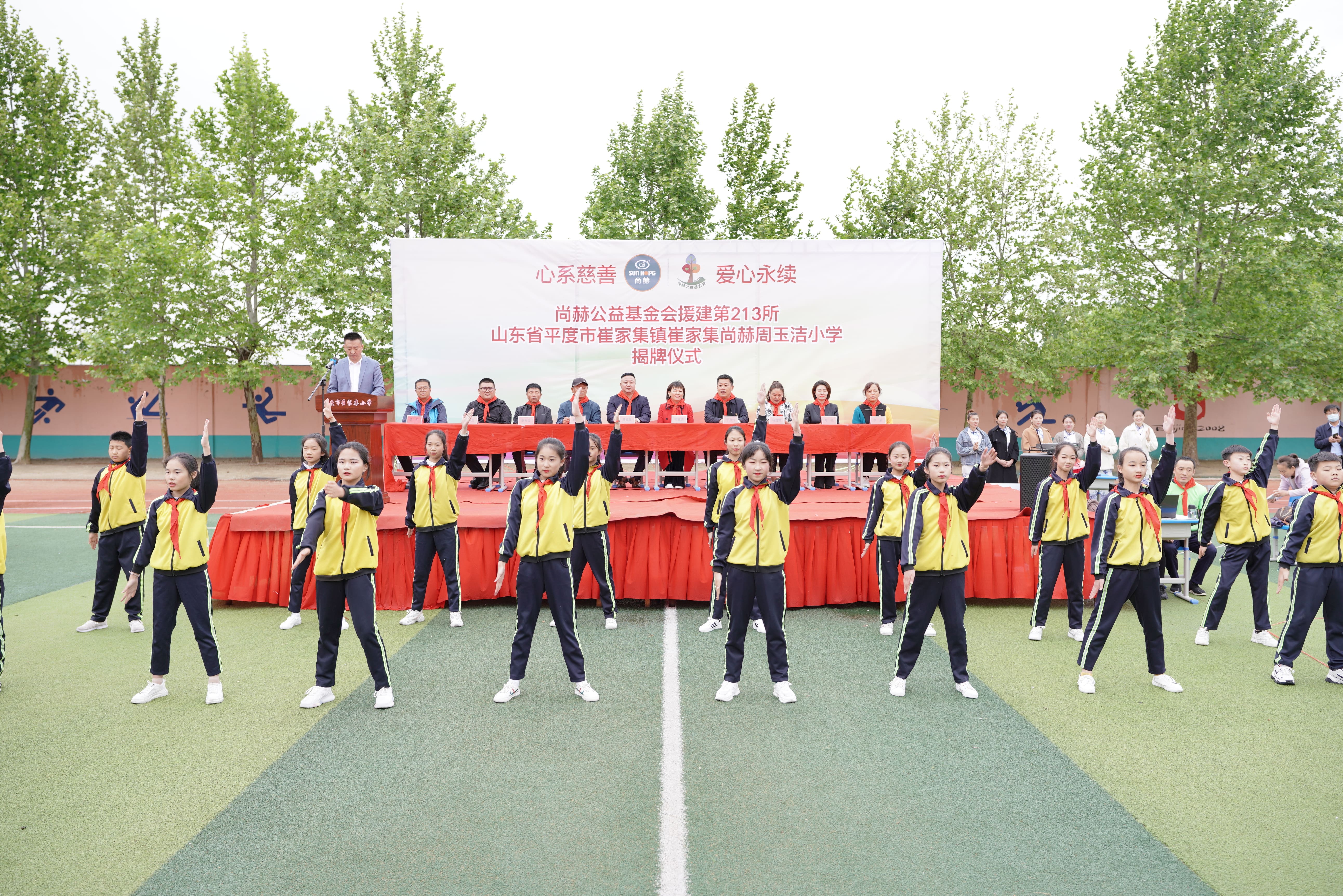 第213所 平度市崔家集镇崔家集开云线上登录周玉洁小学