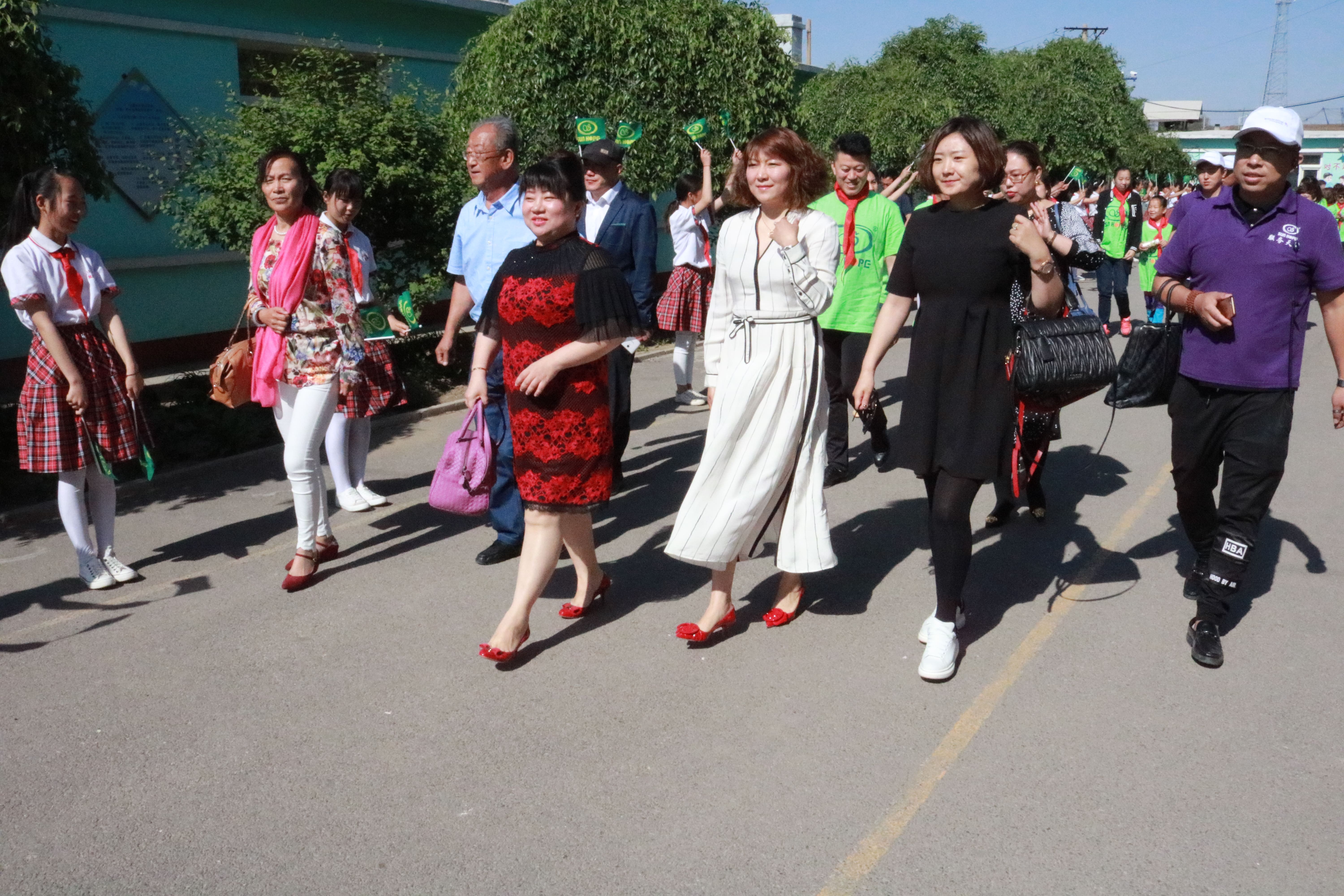 第96所 锦州市黑山县胡家镇开云线上登录董波小学