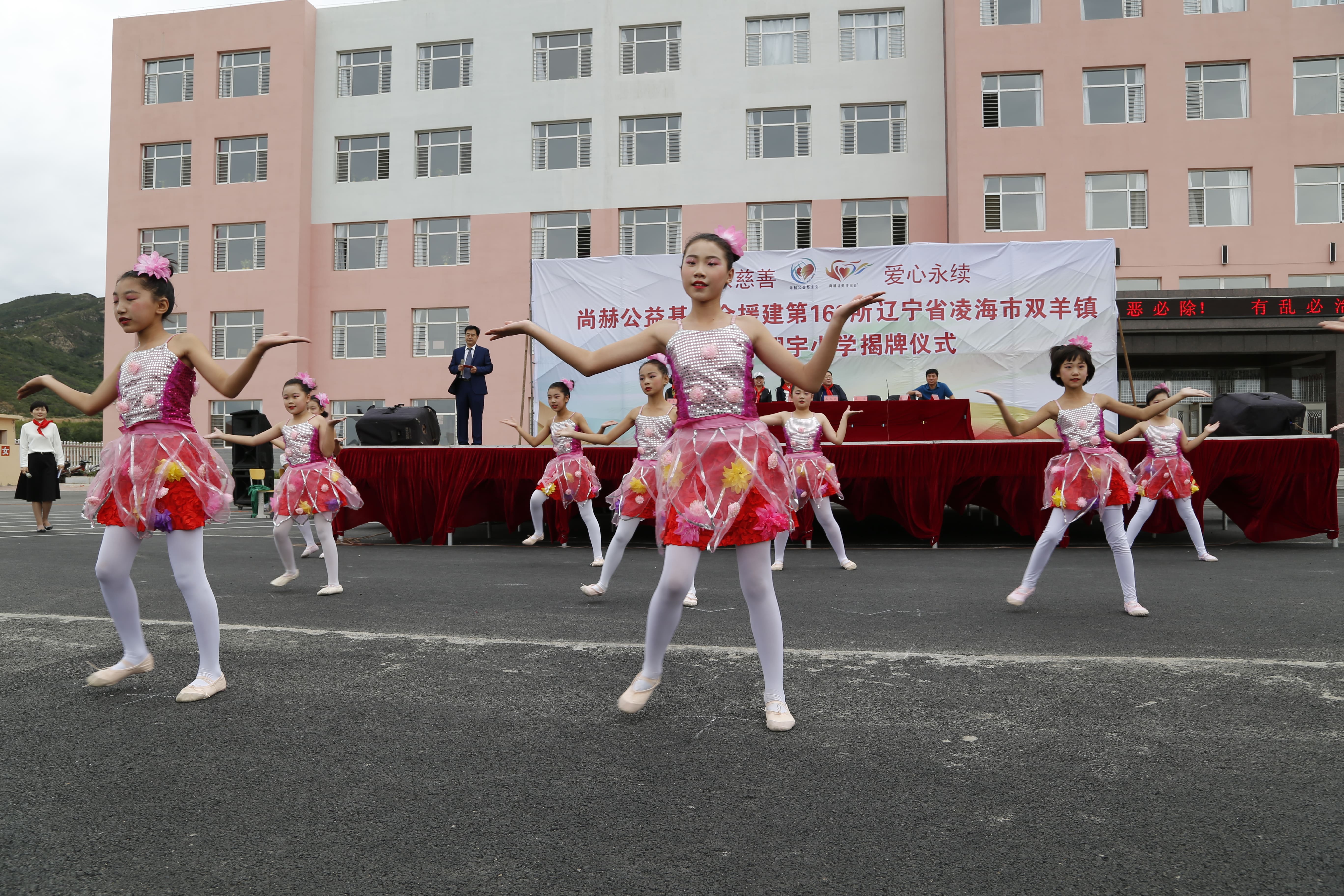 第163所 凌海市双羊镇开云线上登录孙翔宇小学